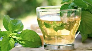 Drink Green Tea 